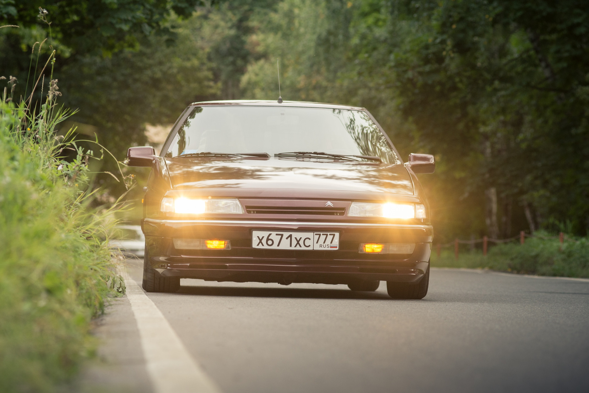 XM дорест и Zender