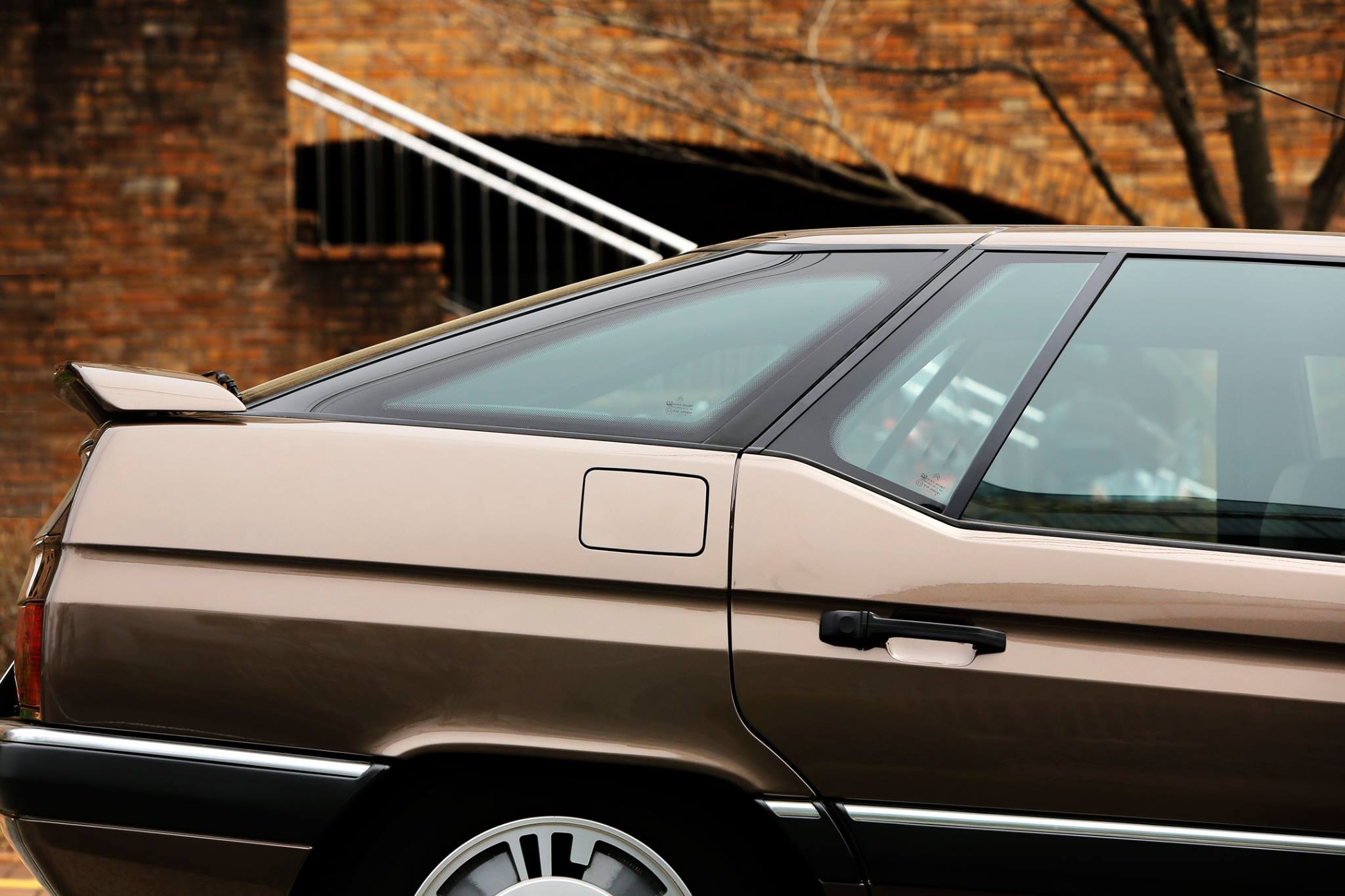xm beige 08